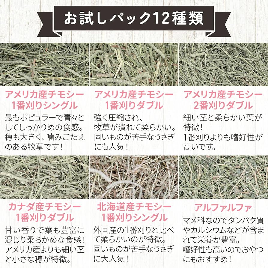 81NT+nyfnyL._UF894,1000_QL80_.jpg